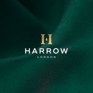 طراحی لوگو حرفه‌ای و تاثیر آن بر ساخت هویت برند